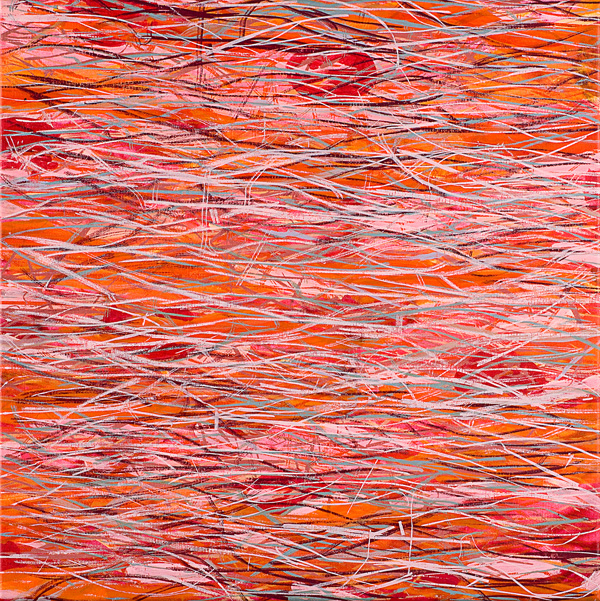Rejtett formák II.